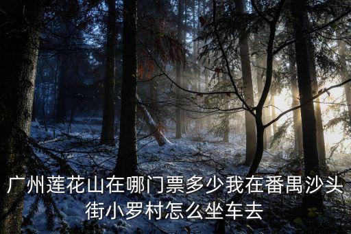 番禺蓮花山莊，蓮花山客運站附近的住宿推薦
