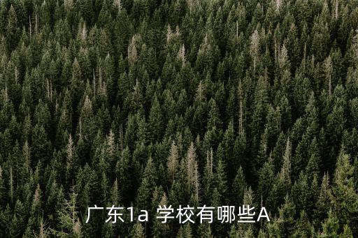 中山迪茵公學(xué)，中山坦洲鎮(zhèn)有幾所公立學(xué)校具體是哪幾所