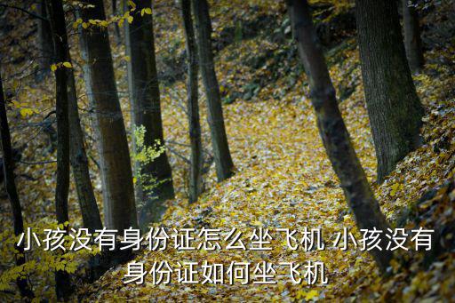 小孩沒有身份證怎么坐飛機(jī) 小孩沒有身份證如何坐飛機(jī)