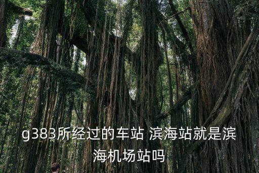 g383所經(jīng)過的車站 濱海站就是濱海機場站嗎