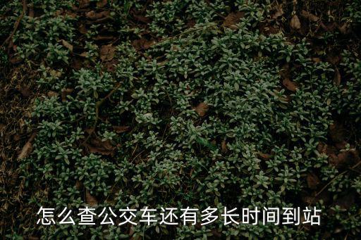怎么查公交車還有多長時(shí)間到站