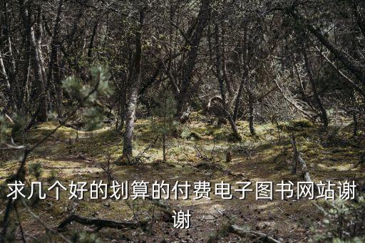 求幾個好的劃算的付費電子圖書網站謝謝