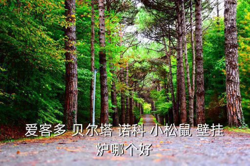 愛客多 貝爾塔 諾科 小松鼠 壁掛爐哪個好