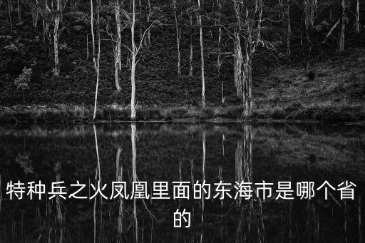 特種兵之火鳳凰里面的東海市是哪個省的
