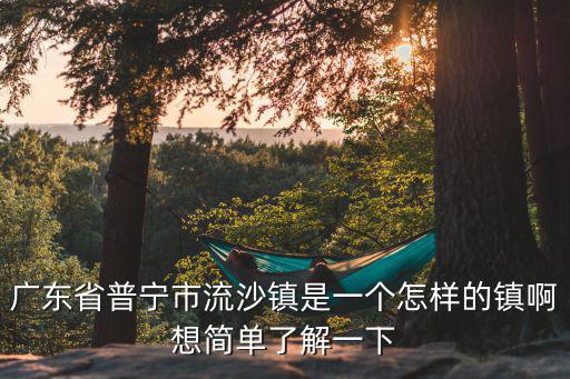 廣東省普寧市流沙鎮是一個怎樣的鎮啊想簡單了解一下