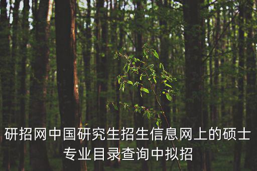 研招網中國研究生招生信息網上的碩士專業目錄查詢中擬招