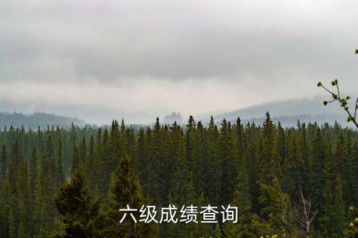 六級(jí)英語(yǔ)成績(jī)查詢，查六級(jí)成績(jī)