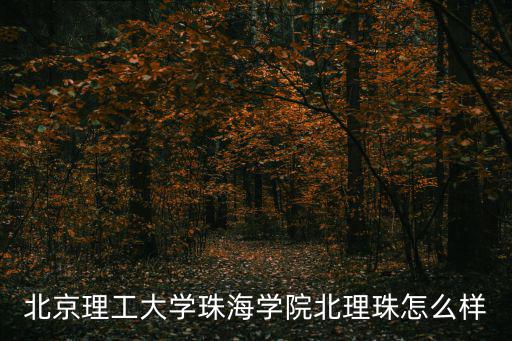 北京理工大學(xué)珠海學(xué)院北理珠怎么樣