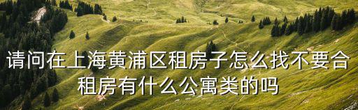 請(qǐng)問在上海黃浦區(qū)租房子怎么找不要合租房有什么公寓類的嗎
