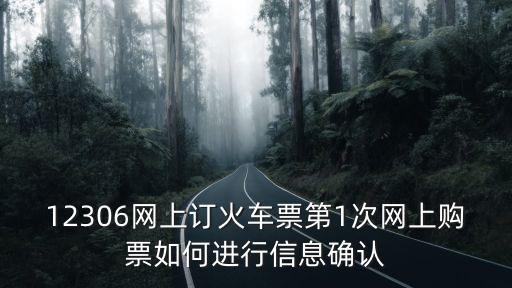 12306網(wǎng)上訂火車票第1次網(wǎng)上購票如何進行信息確認