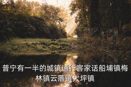 普寧有一半的城鎮通行客家話船埔鎮梅林鎮云落鎮大坪鎮