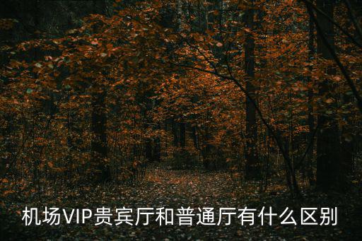 貴賓廳，機場VIP貴賓廳和普通廳有什么區別