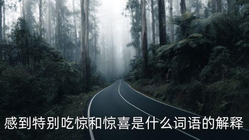 特別驚喜，感到特別吃驚和驚喜是什么詞語的解釋