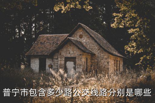 普寧市包含多少路公交線路分別是哪些