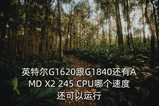 英特爾G1620跟G1840還有AMD X2 245 CPU哪個速度還可以運行