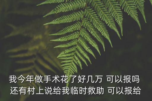 我今年做手術花了好幾萬 可以報嗎 還有村上說給我臨時救助 可以報給