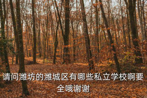 請(qǐng)問(wèn)濰坊的濰城區(qū)有哪些私立學(xué)校啊要全哦謝謝
