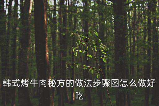 韓國烤牛肉，韓國烤牛肉怎么做