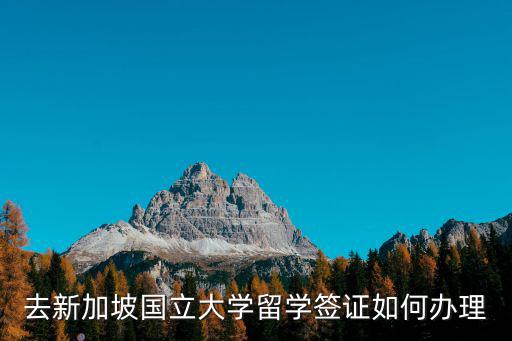 去新加坡國立大學留學簽證如何辦理