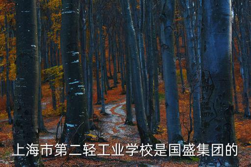 上海市第二輕工業學校是國盛集團的