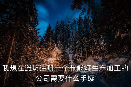 濰坊注冊公司，我想在濰坊注冊一個節(jié)能燈生產(chǎn)加工的公司需要什么手續(xù)