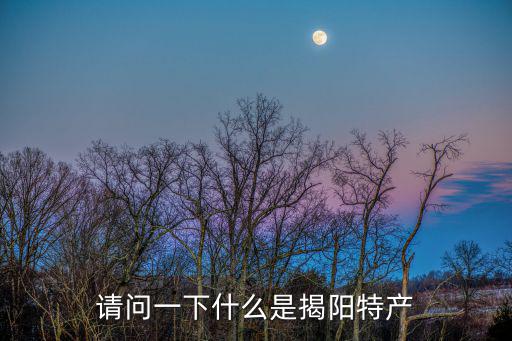 請問一下什么是揭陽特產(chǎn)