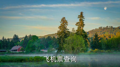 航班信息查詢，飛機票查詢