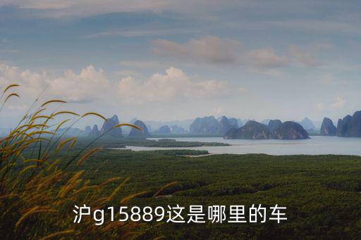 滬g15889這是哪里的車