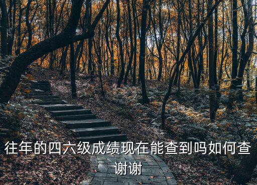 往年的四六級成績現在能查到嗎如何查謝謝