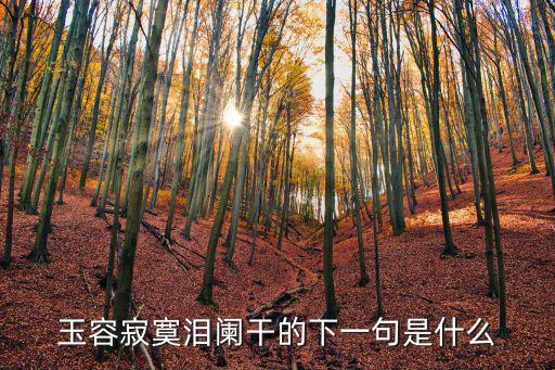 玉容寂寞淚闌干的下一句是什么