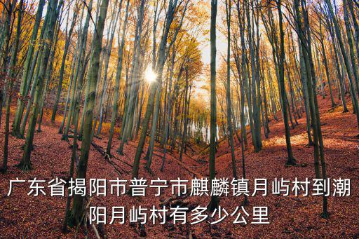 廣東省揭陽市普寧市麒麟鎮月嶼村到潮陽月嶼村有多少公里