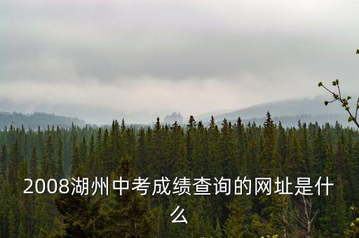 2008湖州中考成績(jī)查詢的網(wǎng)址是什么