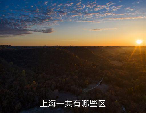 上海一共有哪些區