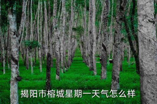 揭陽市榕城星期一天氣怎么樣