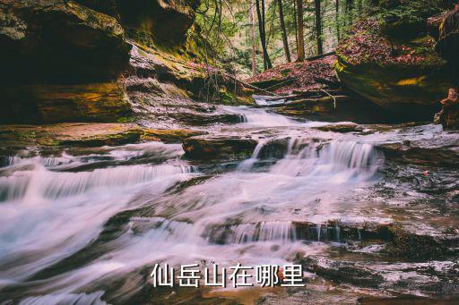 仙岳山在哪里