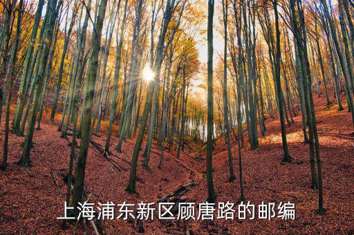 上海浦東新區(qū)顧唐路的郵編