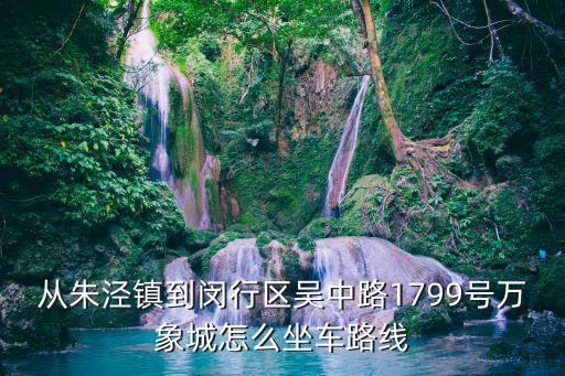 從朱涇鎮(zhèn)到閔行區(qū)吳中路1799號萬象城怎么坐車路線