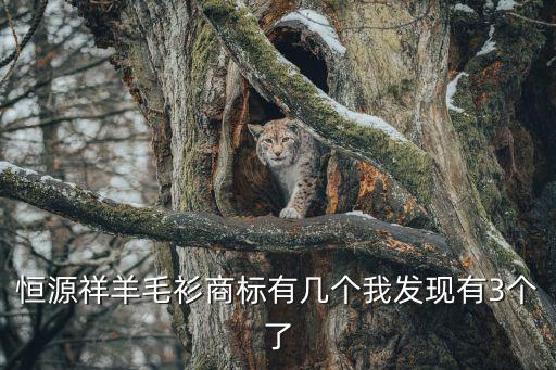 恒源祥羊毛衫商標有幾個我發現有3個了