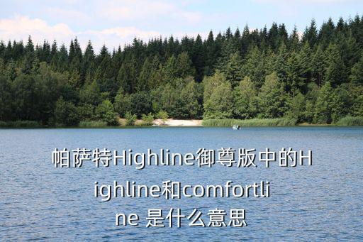 帕薩特Highline御尊版中的Highline和comfortline 是什么意思