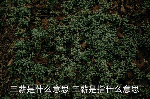 三薪是什么意思 三薪是指什么意思