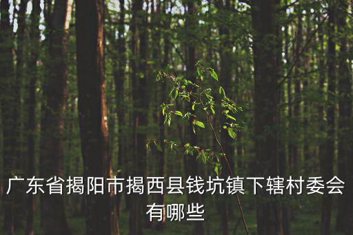 廣東省揭陽(yáng)市揭西縣錢坑鎮(zhèn)下轄村委會(huì)有哪些