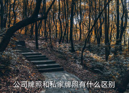 公司牌照，公司牌照和私家牌照有什么區別