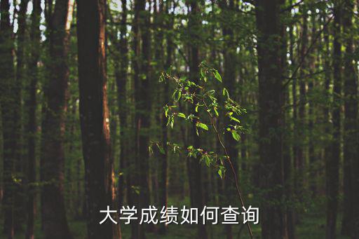 大學成績如何查詢