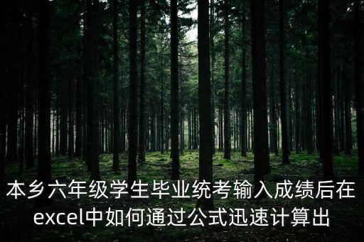 本鄉六年級學生畢業統考輸入成績后在excel中如何通過公式迅速計算出