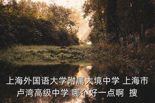 上海外國語大學(xué)附屬大境中學(xué) 上海市盧灣高級中學(xué) 哪個好一點啊  搜