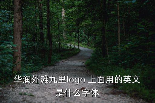 華潤外灘九里logo 上面用的英文是什么字體