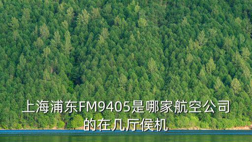 上海浦東FM9405是哪家航空公司的在幾廳侯機
