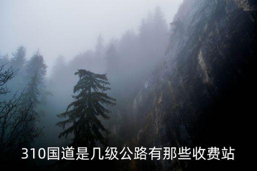 310國道，310國道從哪到哪的