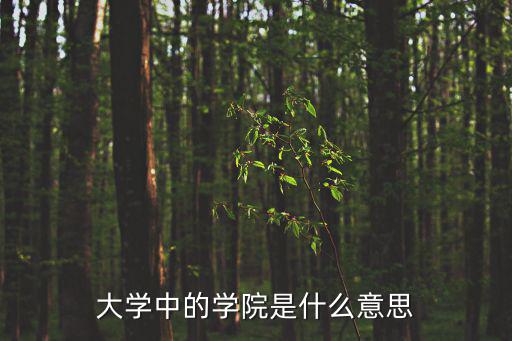 大學(xué)中的學(xué)院是什么意思