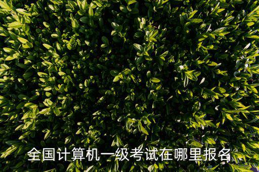全國計算機一級考試在哪里報名